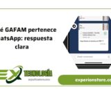 A qué GAFAM pertenece WhatsApp: respuesta clara
