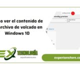 Cómo ver el contenido de un archivo de volcado en Windows 10